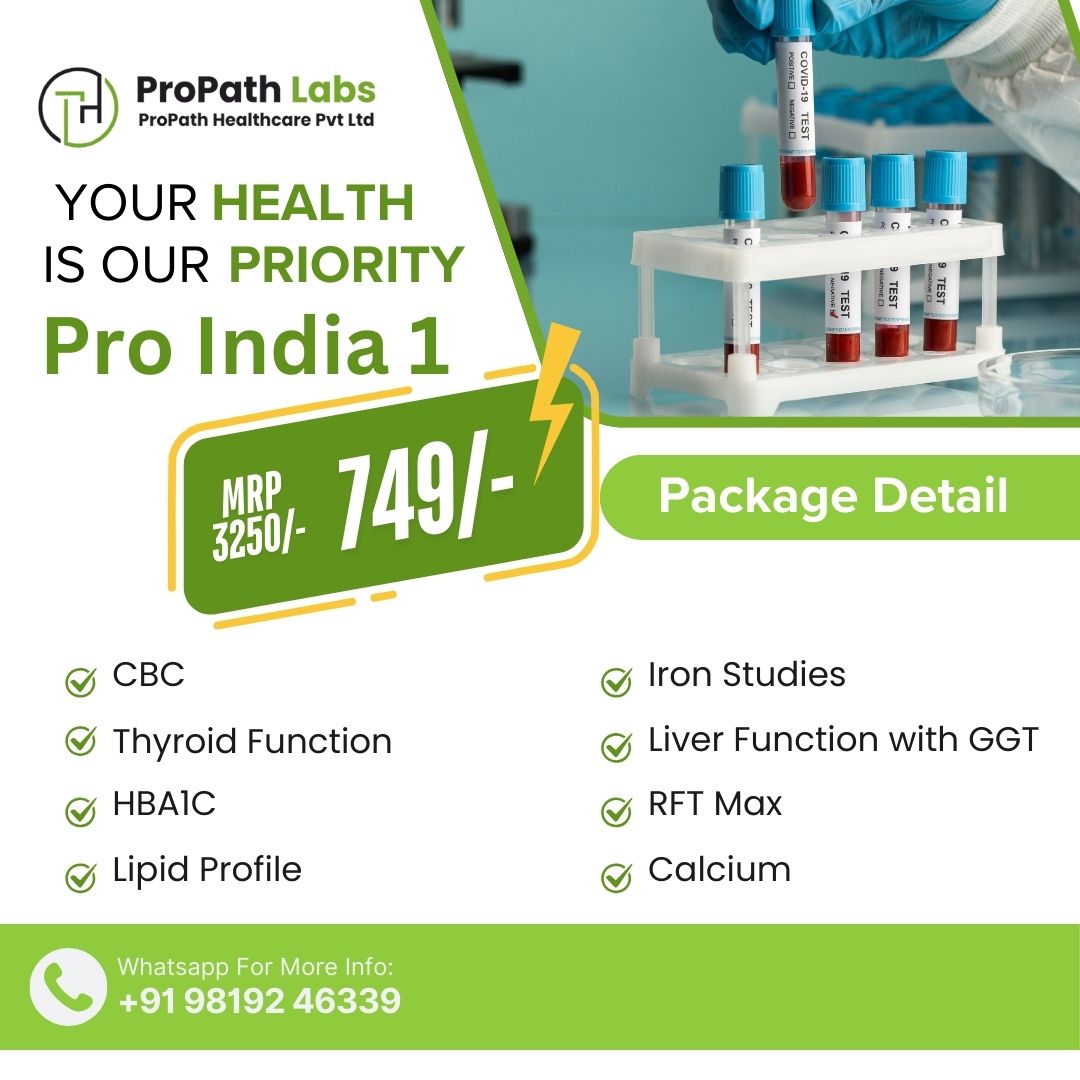 WhatsApp Image 2025-04-23 at 1.57.54 PM.jpeg